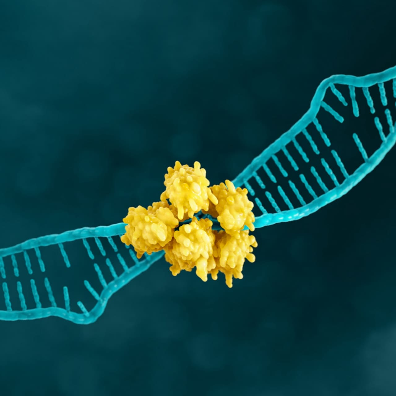 MSI gastric cancer biomarker